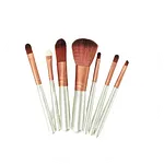 BRUSHES